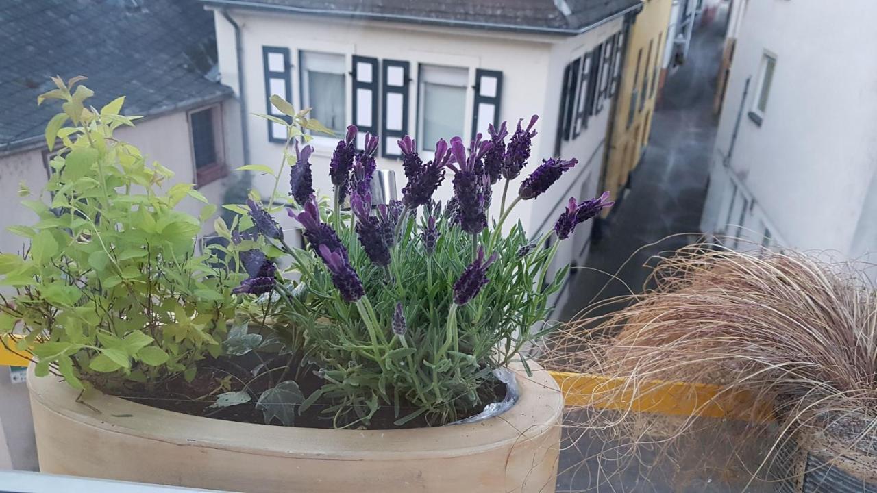 Haus Alfina Villa Buitenkant foto